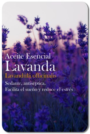Aceite_esencial_lavanda_tienda_eartesano